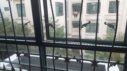 Kovan Crest (D19), Apartment #404673021
